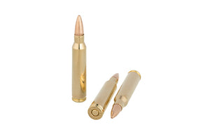 223 Remington 55gr FMJ